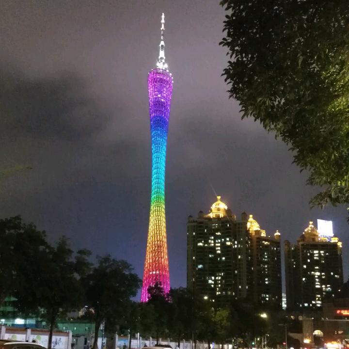 苗草青青