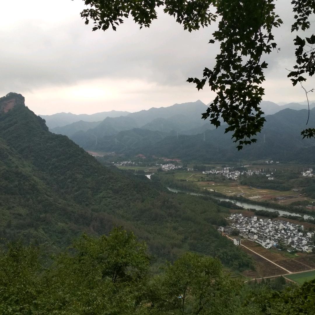草根之子