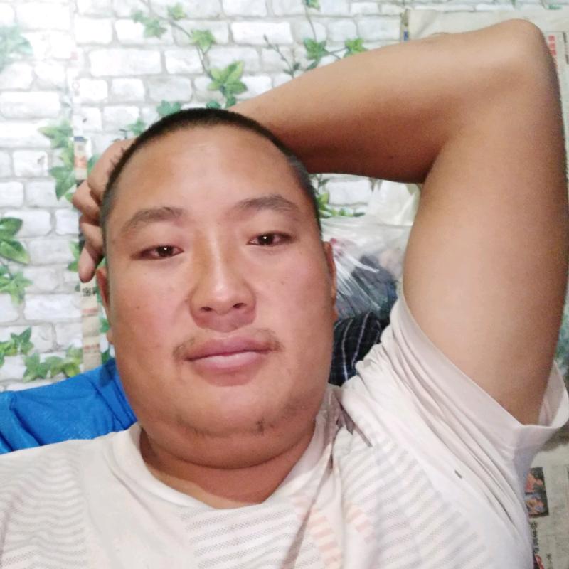 谯三爷长期供应，烤全羊活羊，羊肉
