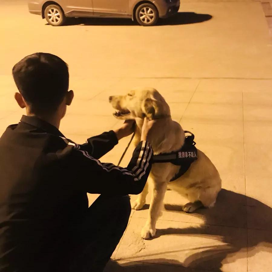 头号丸家