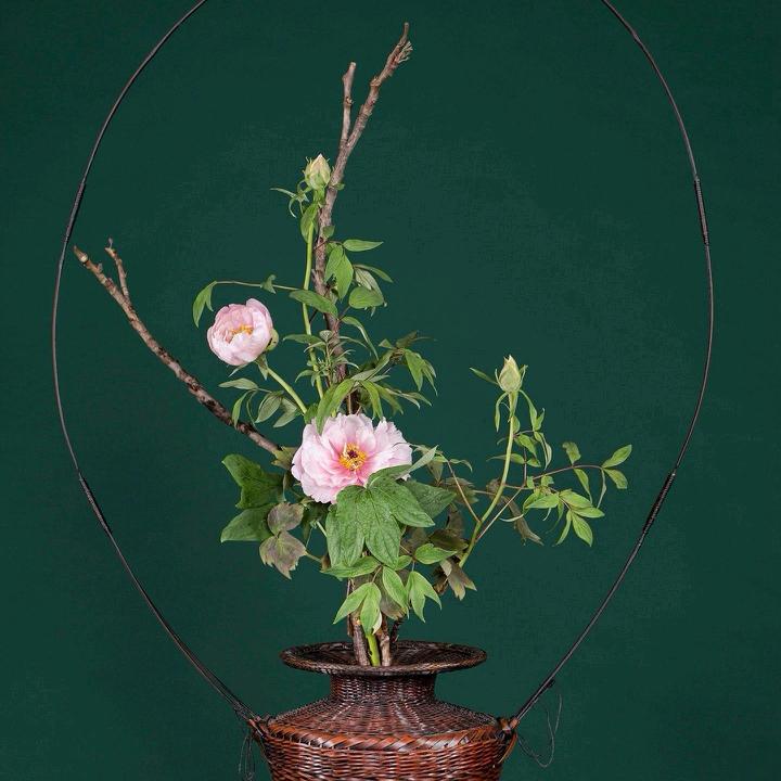 宝宝有一个宝宝可能不是宝宝的宝宝