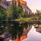 致优种苗（昌江、平凉）-刘传浩