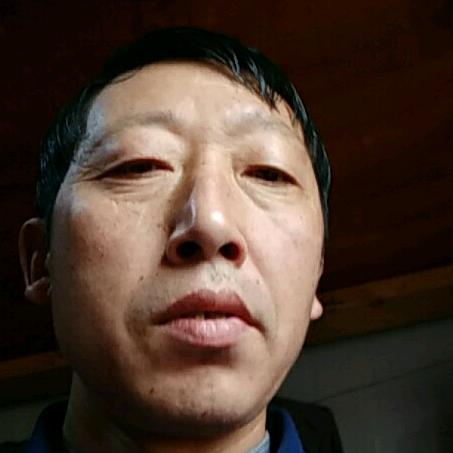 真心真意