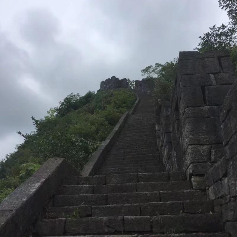 琳琳优选7
