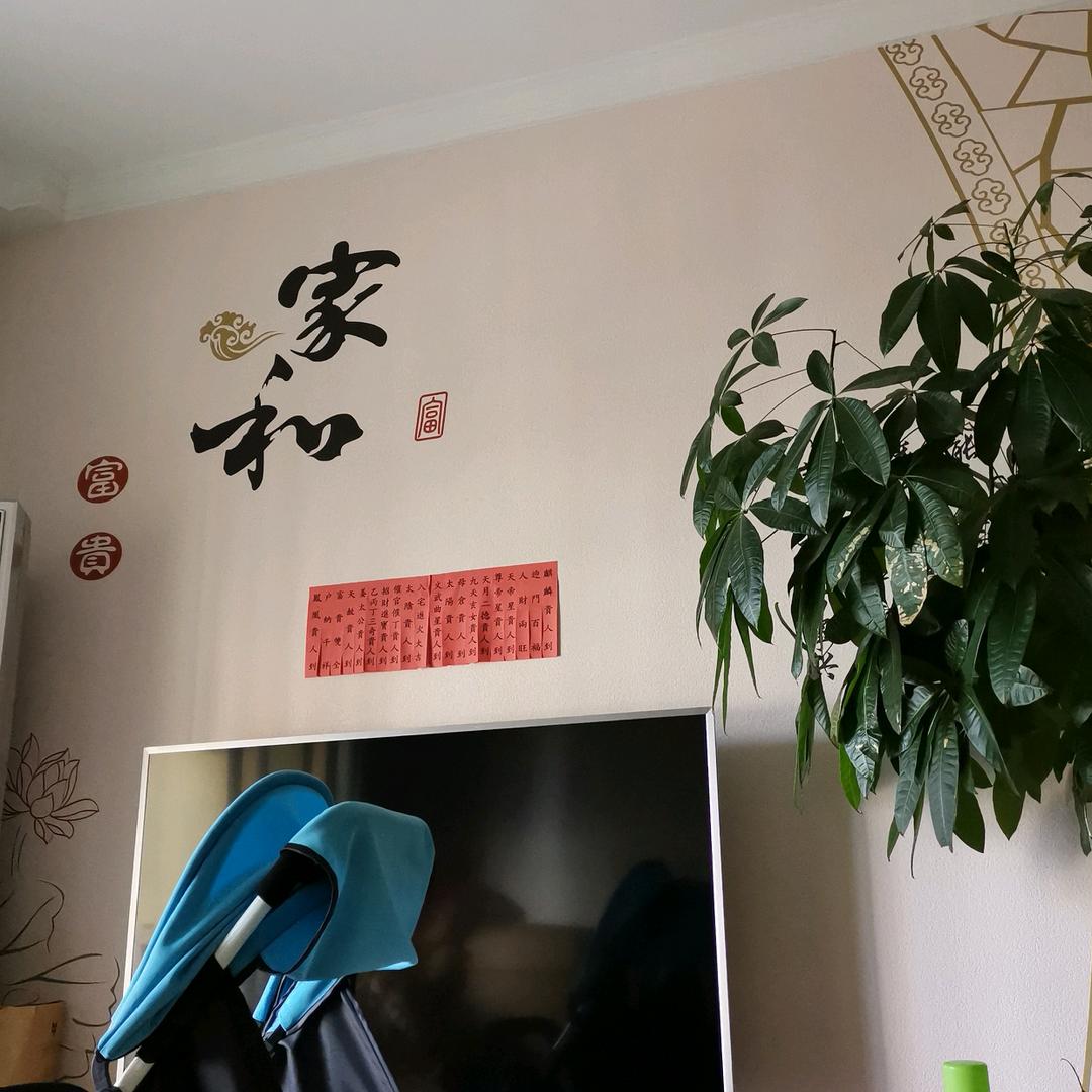 幸福的猪