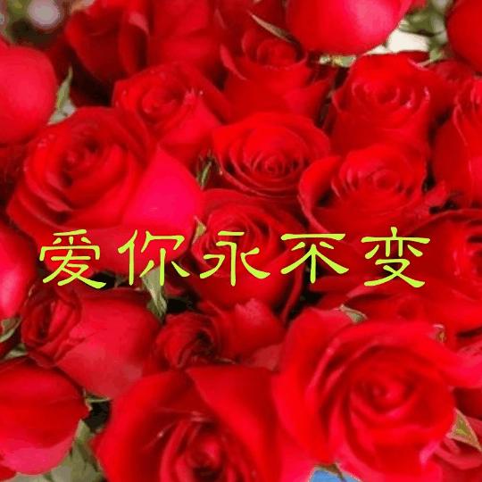 下辈子和你在一起