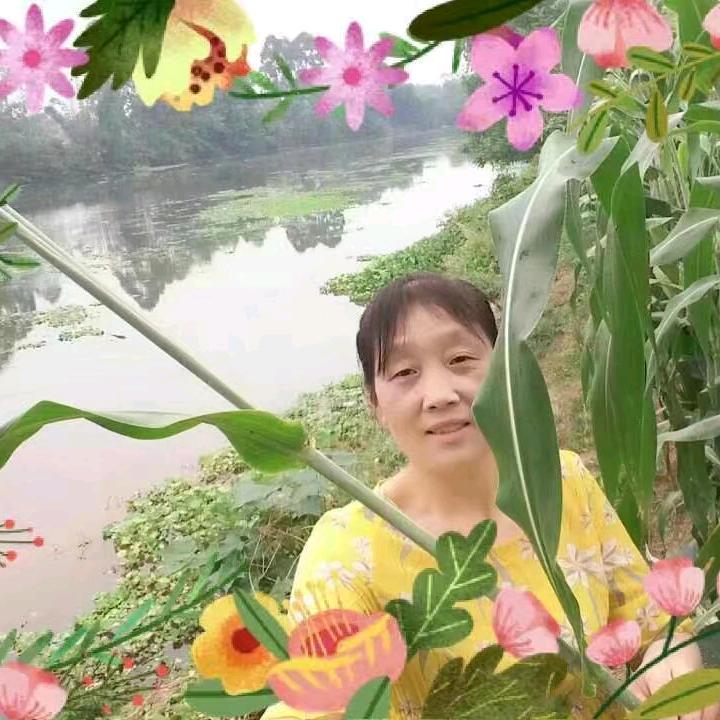 兰蕊💕5215