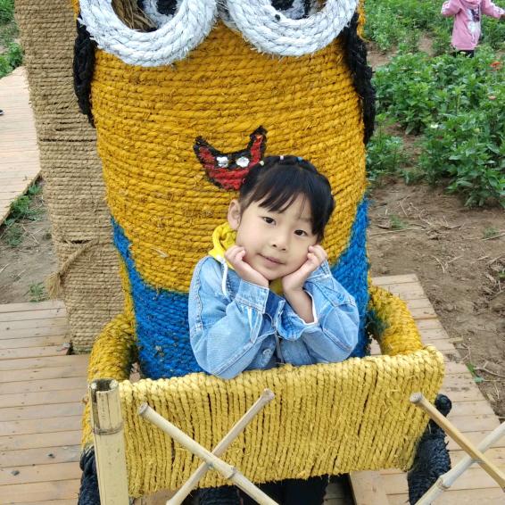 杨光照树梢