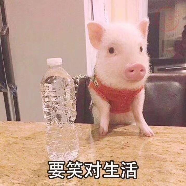 嘀嘀嘟嘟