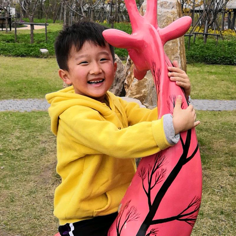 张云磊