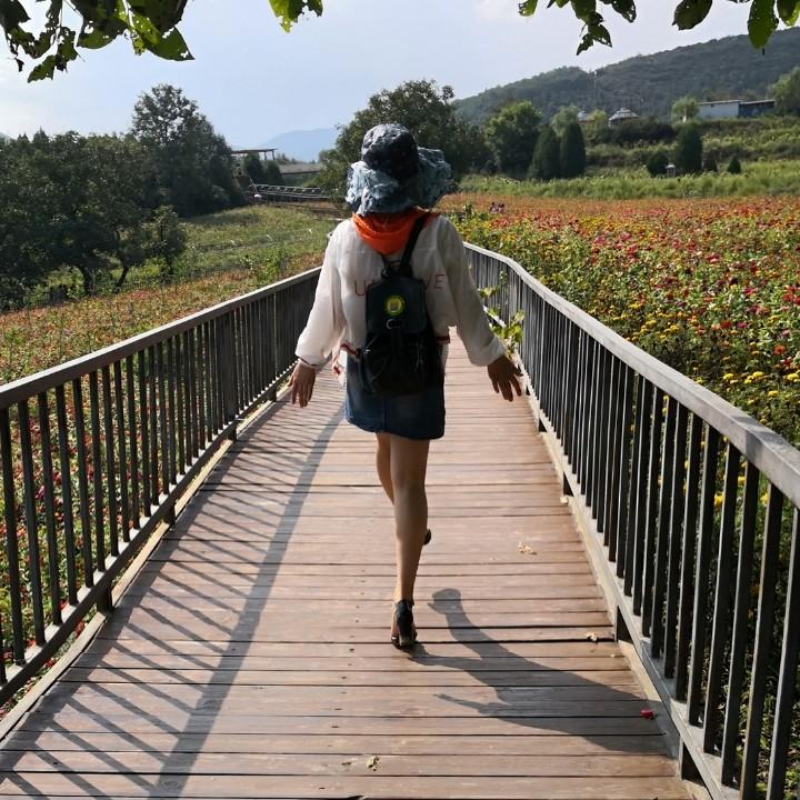 会飞的鱼🐠