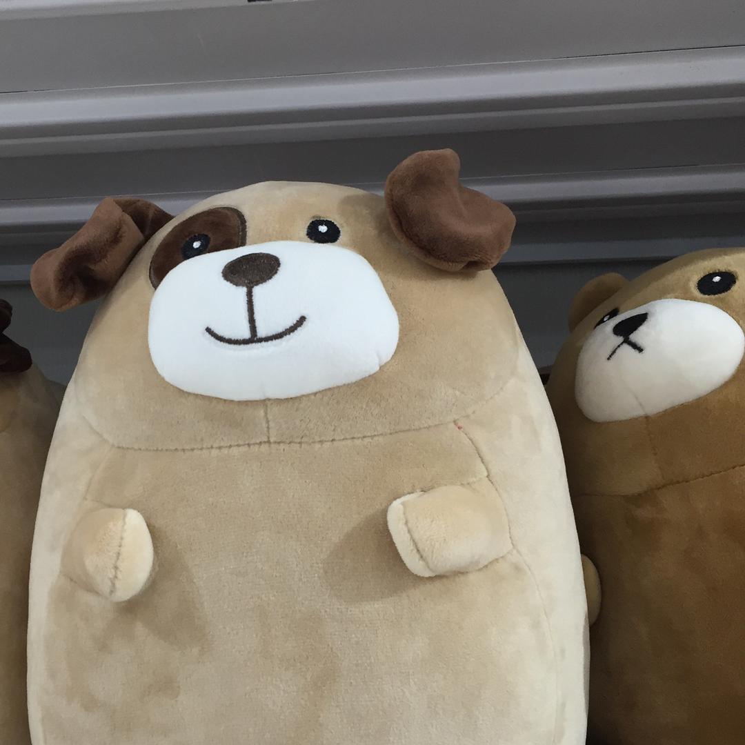 骑着小毛驴带沵环游世界ら