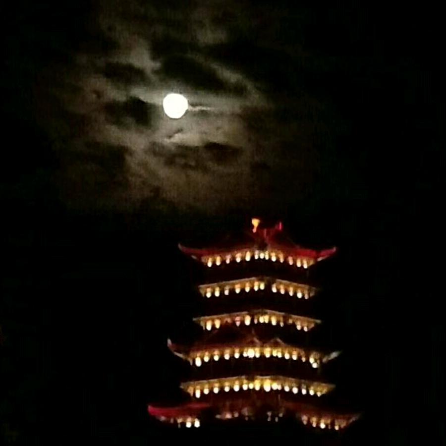 奋斗大叔