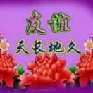 为你停留