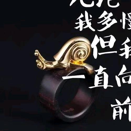 白天不懂夜的黑
