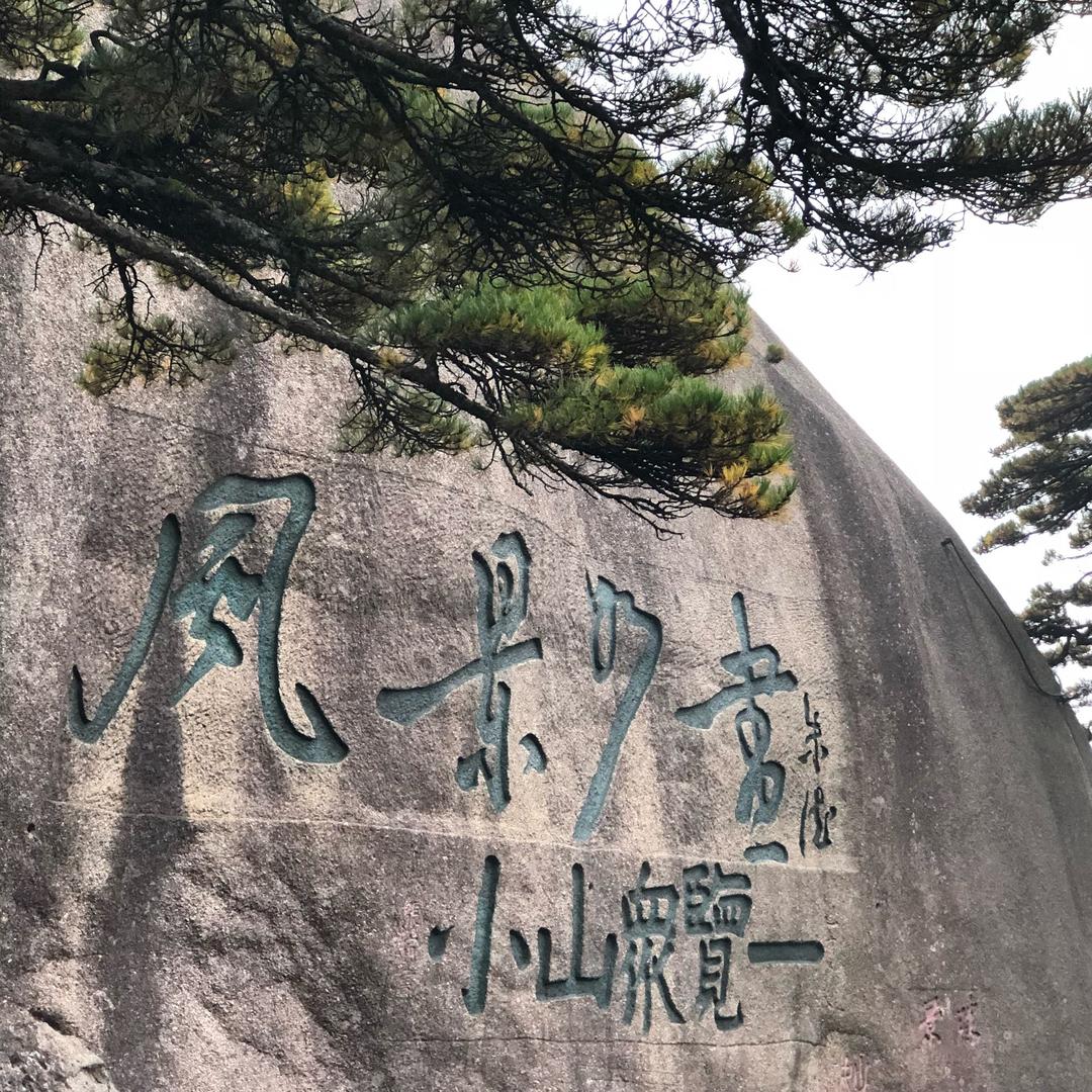 ..៚᭄心之🍀所向࿐ᩚ