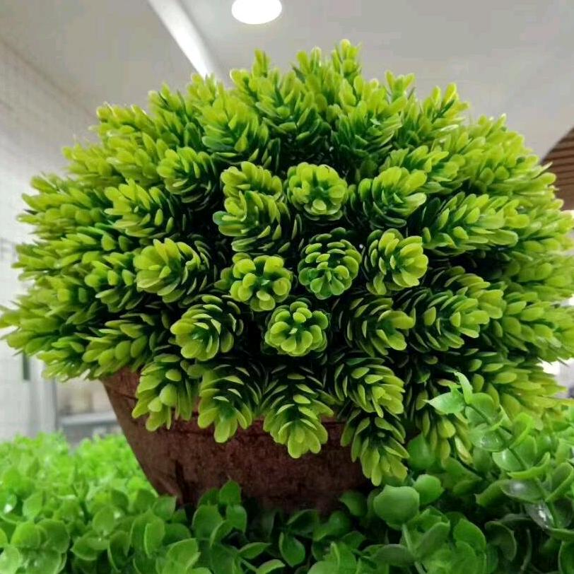 风过无痕用户8607378858508