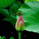 🌈 ✎﹏浅唱♡