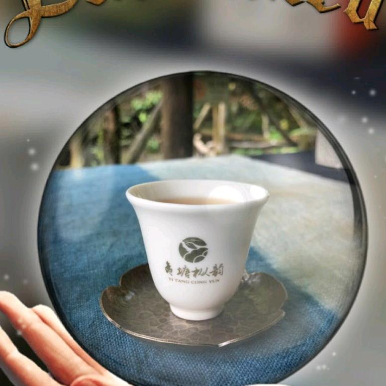 夷塘枞韵岩茶厂