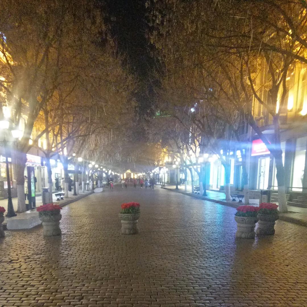 输输很菜（新手）