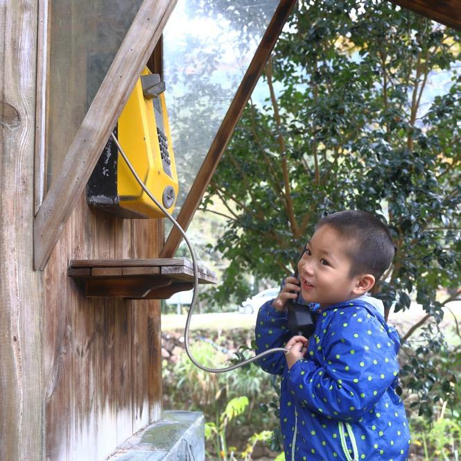 信州区虞氏冷食商贸行