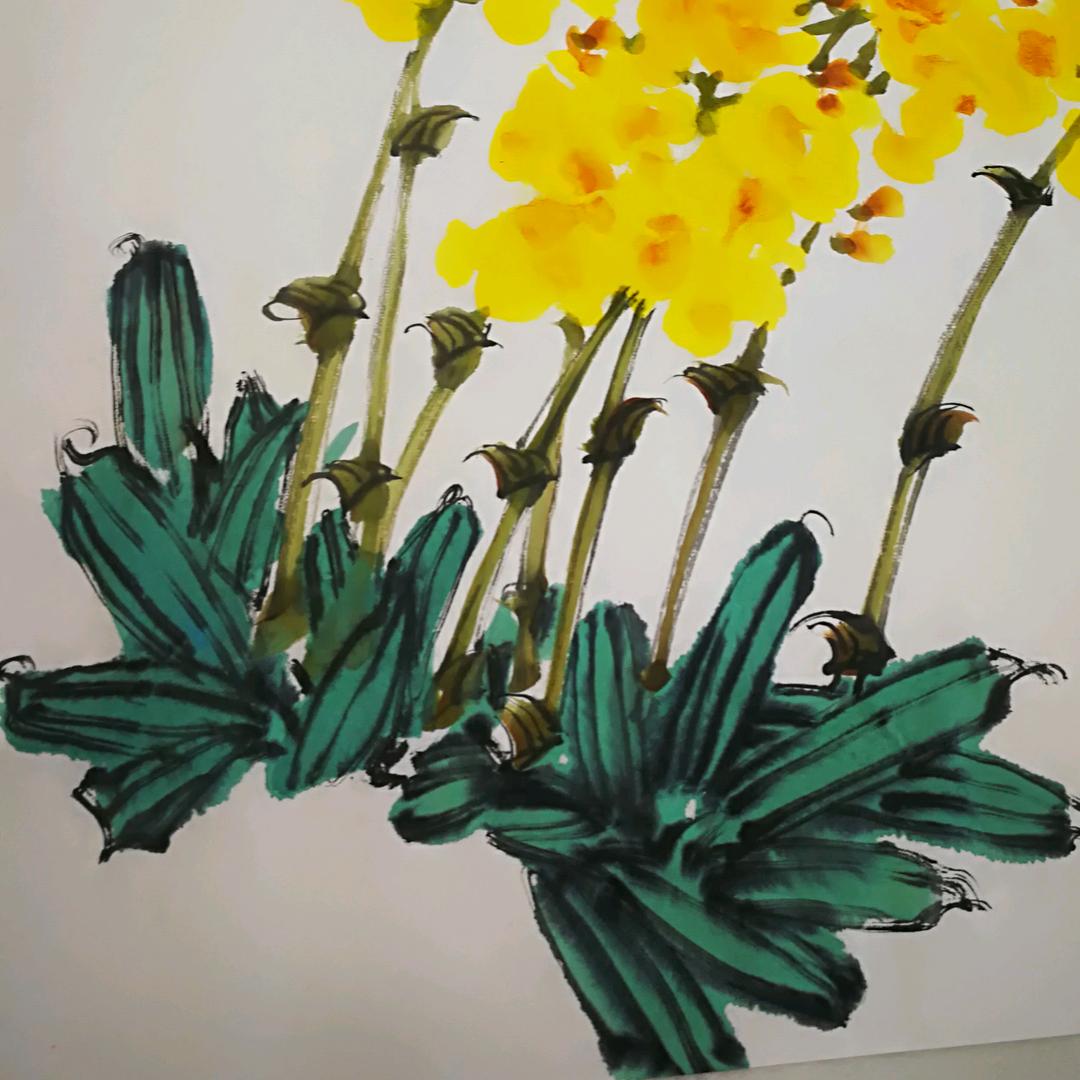 春暖花开
