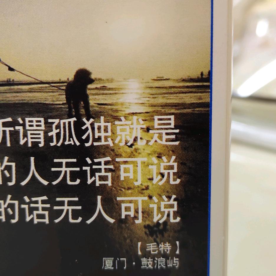 灯泡