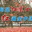 张福荣农资部