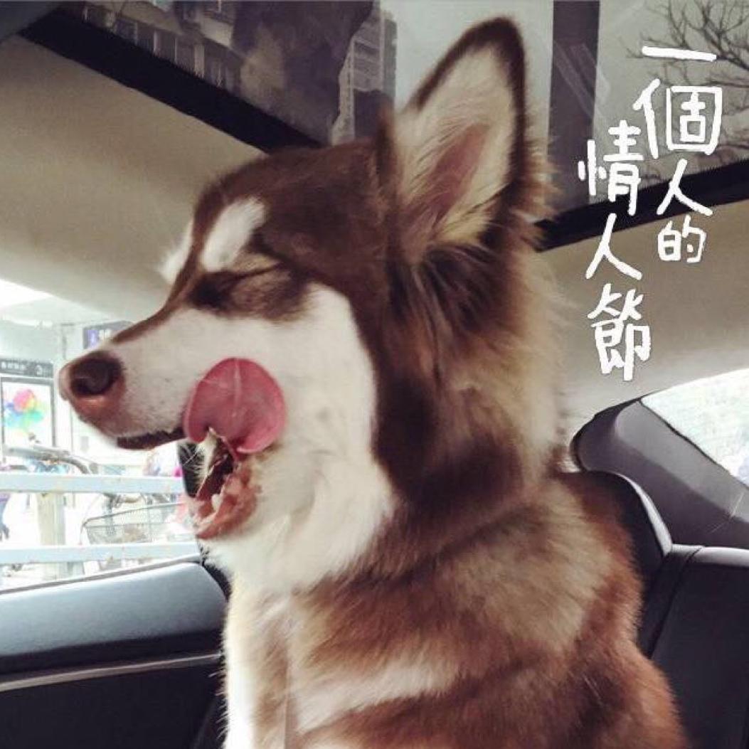 绅士的何绅