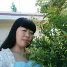 单只蝴蝶🌻