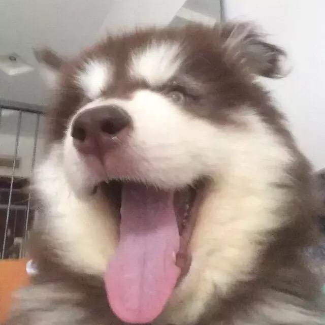 丁哥哥