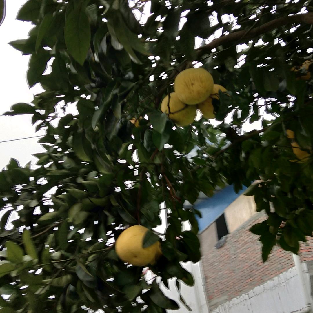 昵称已重置承接红白喜事