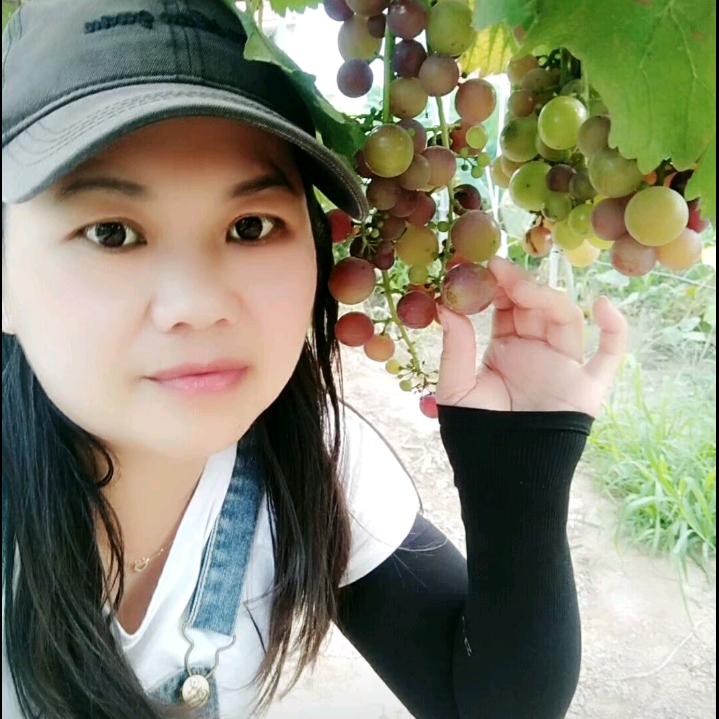 露珠