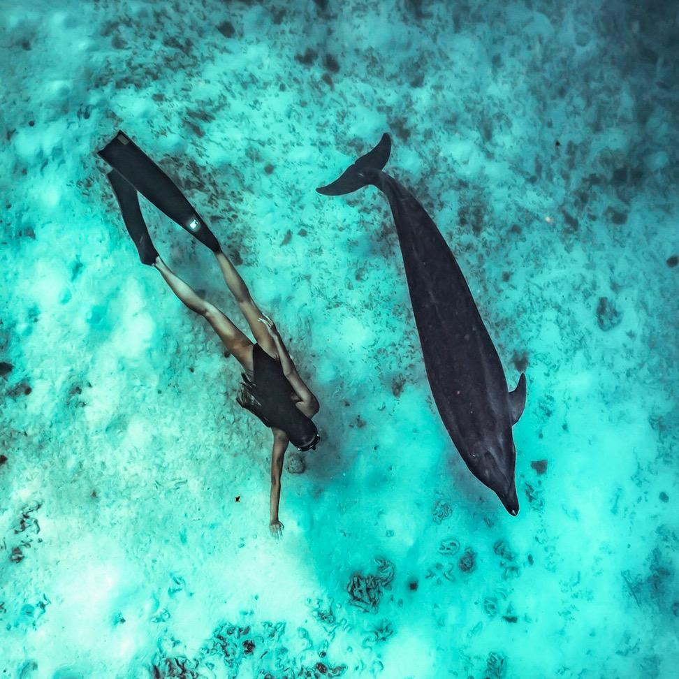LCY小排骨