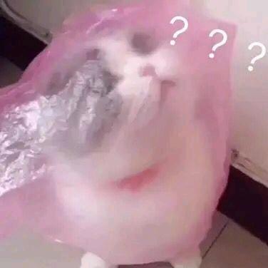 ？ ？ ？