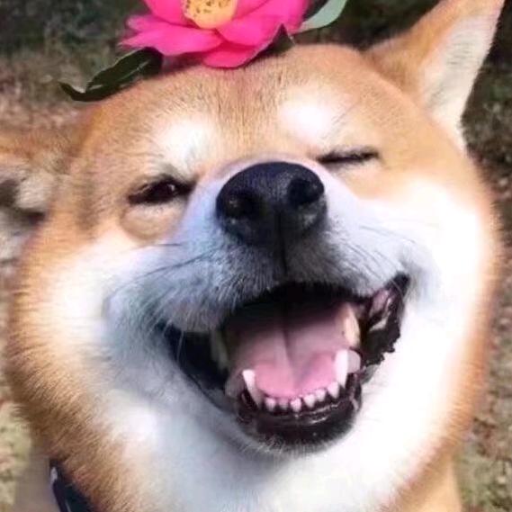 清茶~