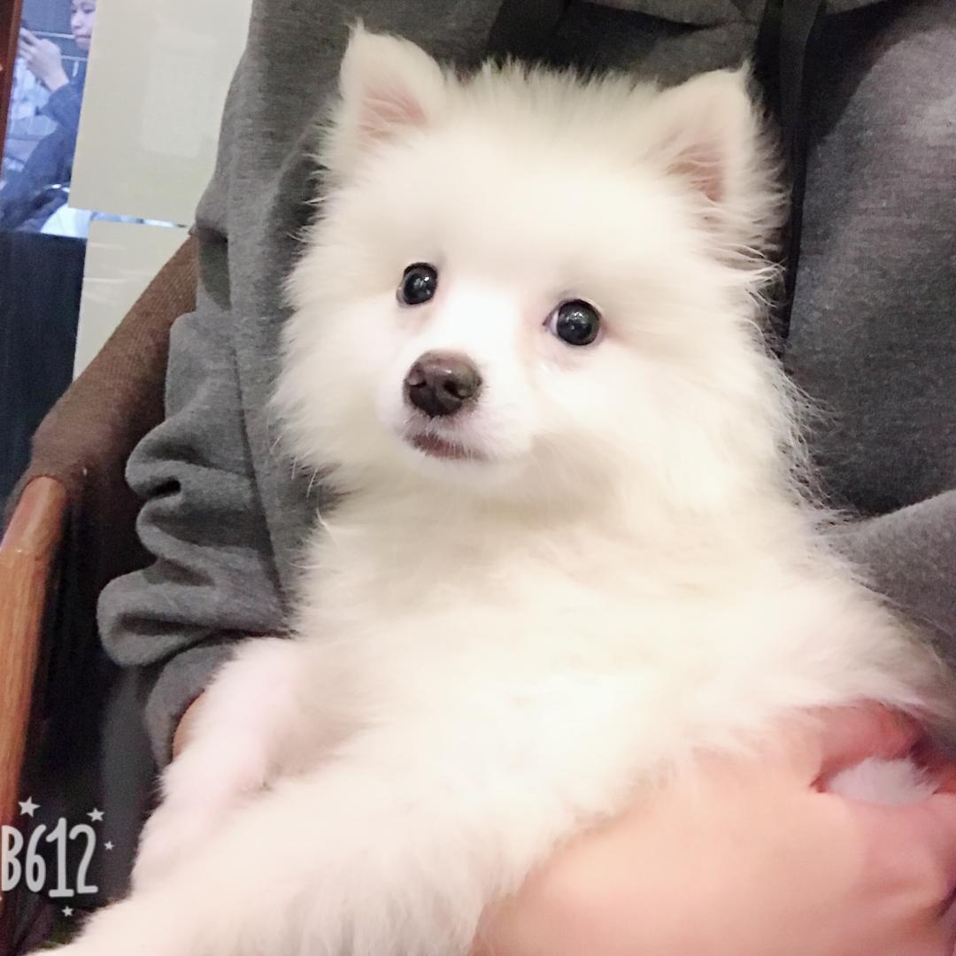 L.K
