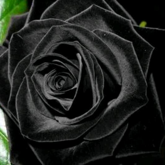 @小李子 橱柜精选好物