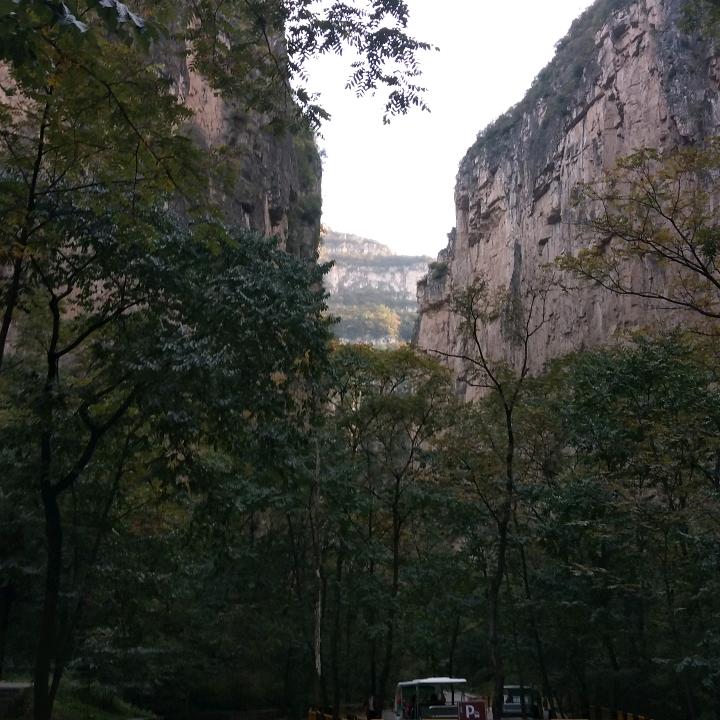 不离不弃宁