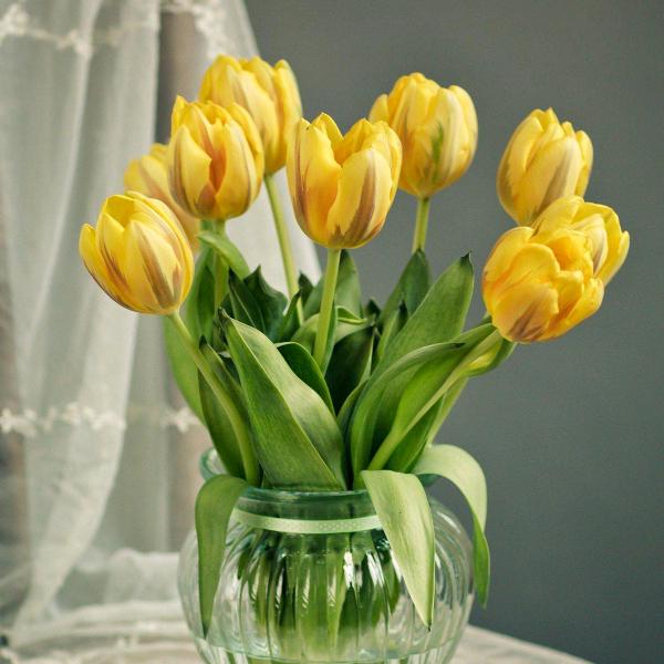 绵阳情歌王子🎤