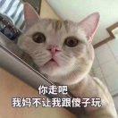 今生错过你