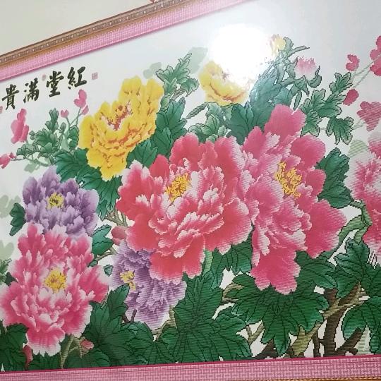 有缘哥