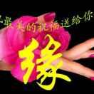 潇洒情缘
