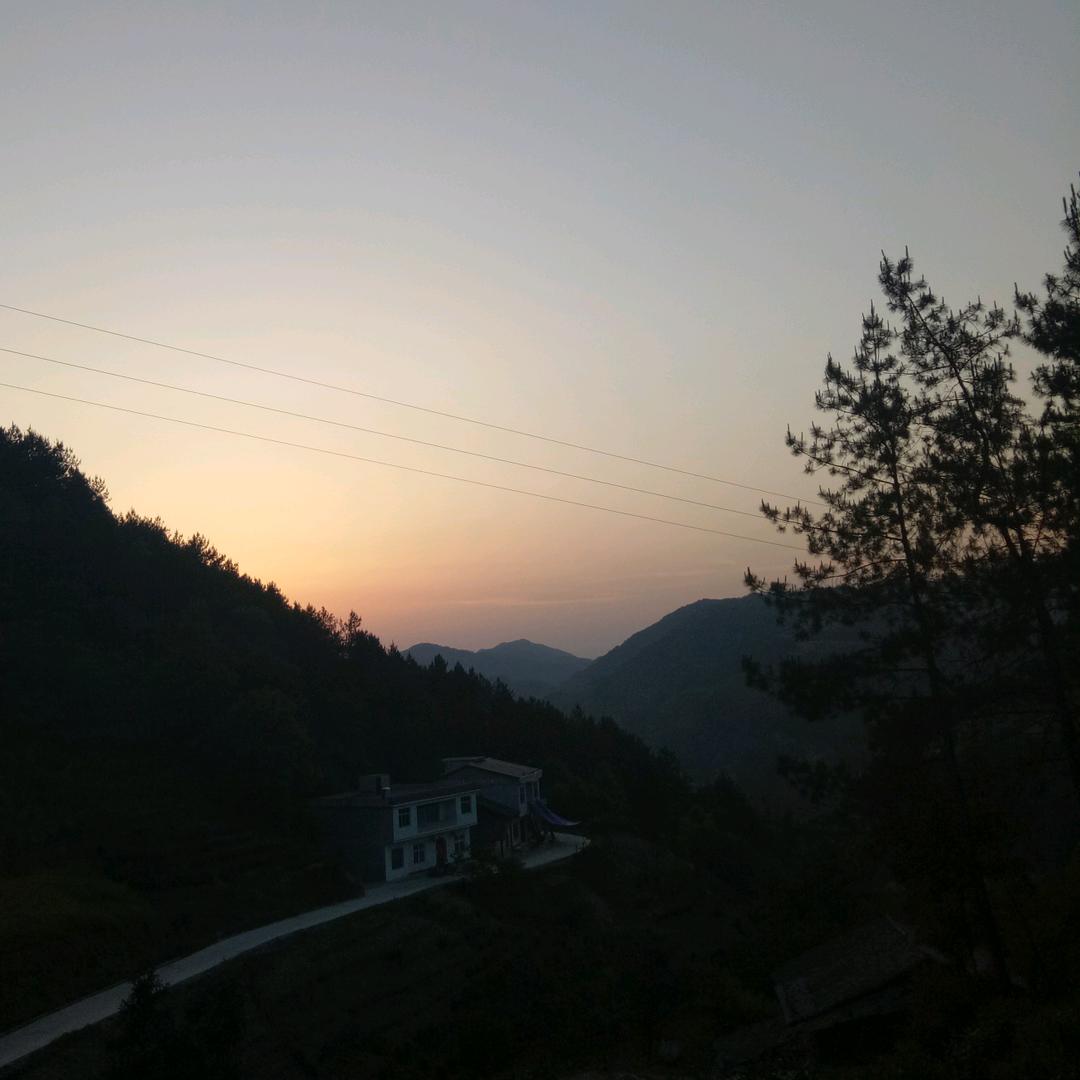 半君伴影半流离