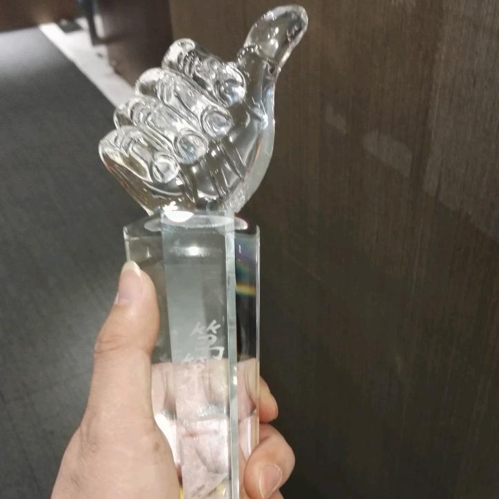 流浪猫（广交益友）