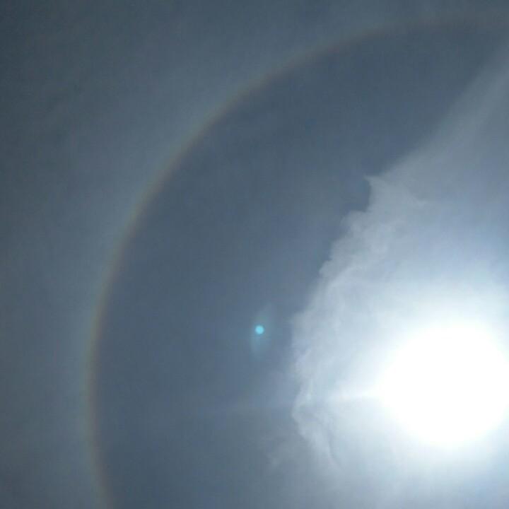 小蜜蜂