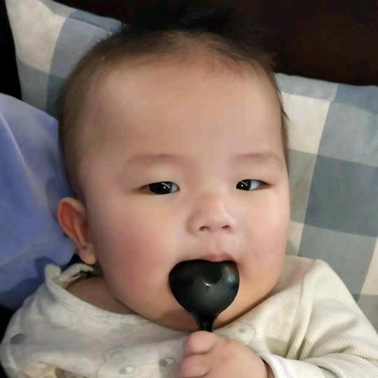 完美的丑小鸭