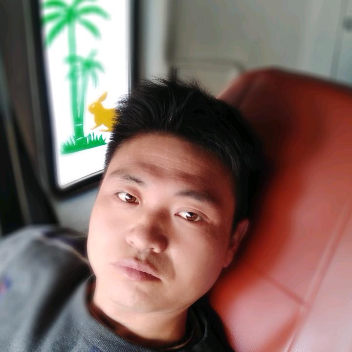 金龙