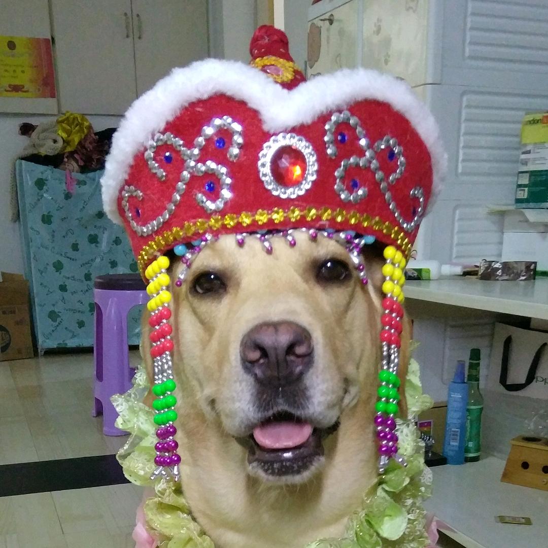 我叫元小旦