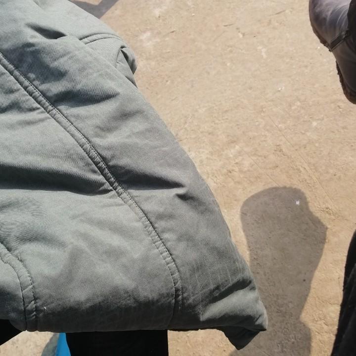 黄凤